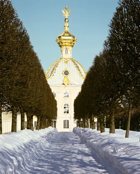 Winter's garden in Peterhof — Stock Photo, Image