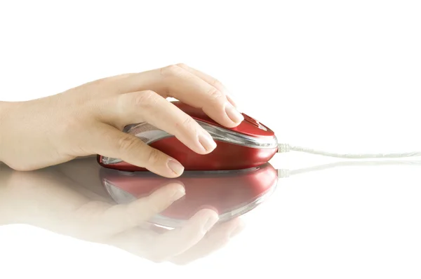 Computer mouse in hand — Stock Photo, Image