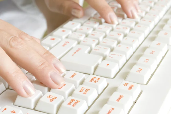 Mão no teclado do computador — Fotografia de Stock