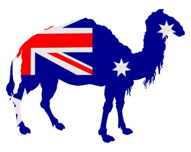 Avustralya bayrağı deve ile