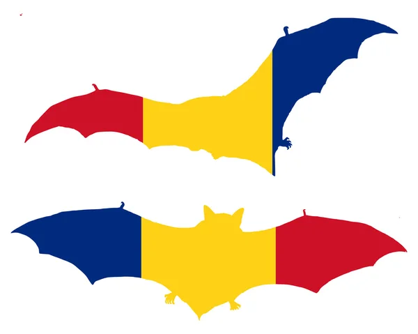 Σημαία της Ρουμανίας με ρόπαλο — Φωτογραφία Αρχείου
