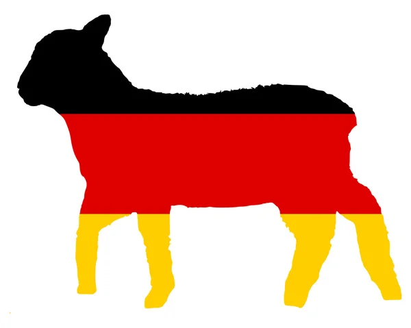 Cordeiro alemão — Fotografia de Stock
