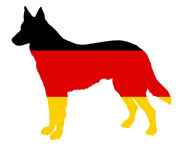 Duitse herder — Stockfoto