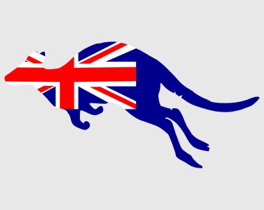 Avustralya bayrağı ile kanguru