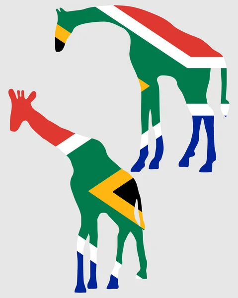 Жирафы с флагом ЮАР — стоковое фото