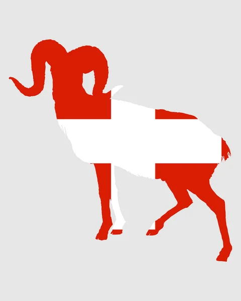 Schweiz flagga med ram — Stockfoto