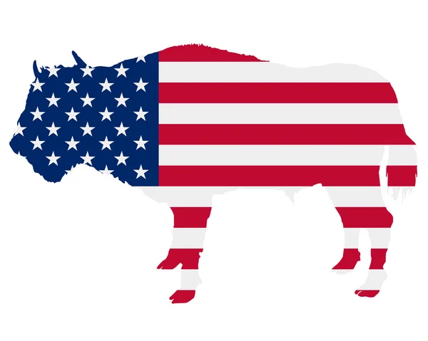 Buffalo in stars and stripes — Stock Photo, Image