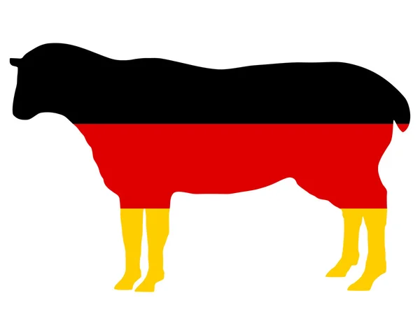 Domba Jerman — Stok Foto