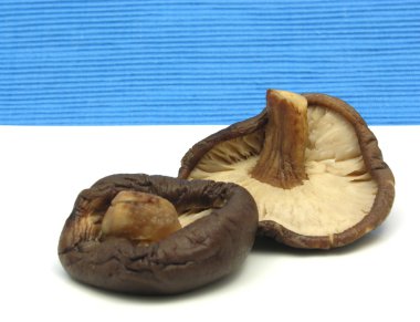 Beyaz tabakta shiitake