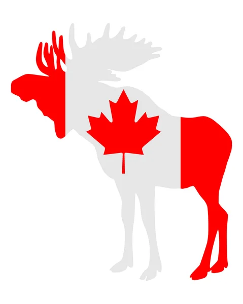 Alce na bandeira do Canadá — Fotografia de Stock