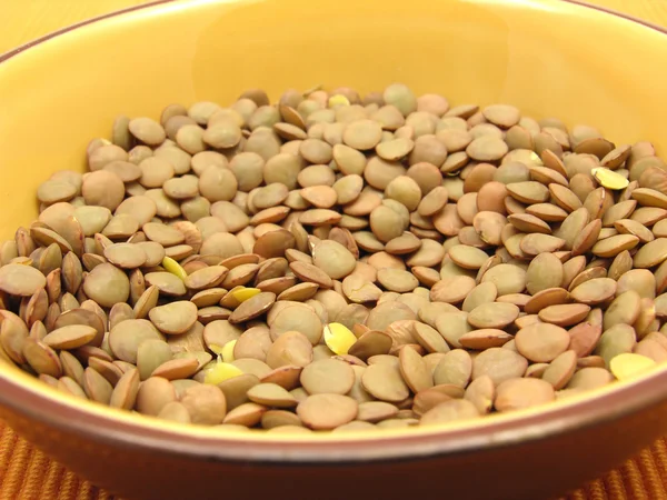 Lentils in a close-up view — Stock Photo, Image