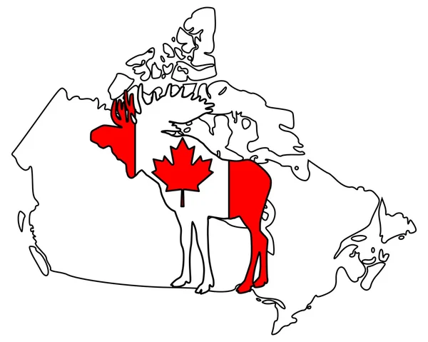 Canadese moose — Stockfoto
