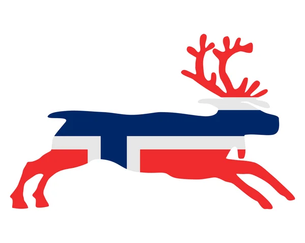 Norwegian reindeer — Stock Photo, Image