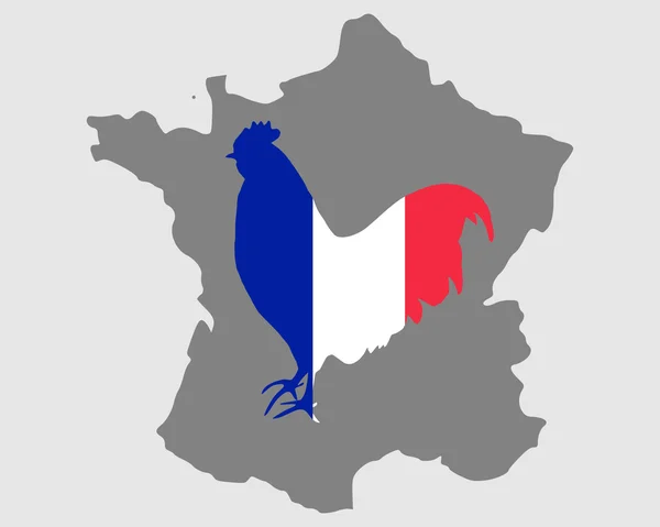 法国公鸡 — 图库照片