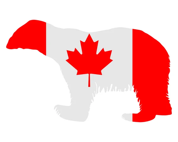 Kanadai jegesmedve — Stock Fotó