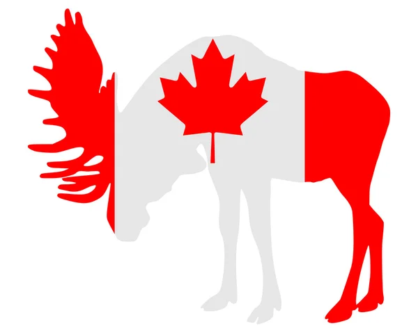 Лось под флагом Канады — стоковое фото