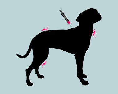 Dog gets an immunization clipart