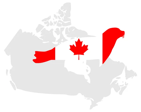 Kanadensiska sigill — Stockfoto