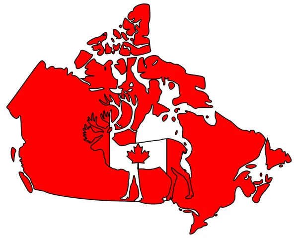 Canadese caribou — Stockfoto