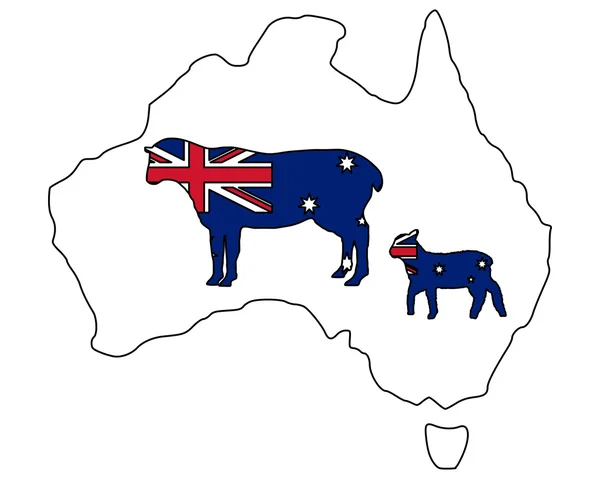 Australische sheeps — Stockfoto