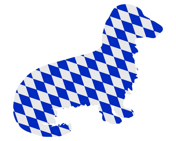 Баварский длинноволосый барсук — стоковое фото
