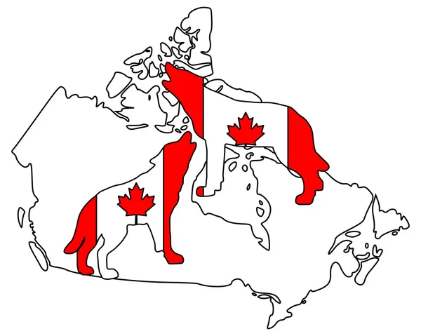 加拿大嚎叫的狼群 — 图库照片