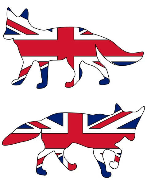 Raposa britânica — Fotografia de Stock