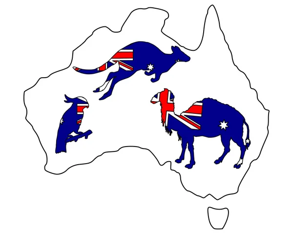 Animales australianos — Foto de Stock