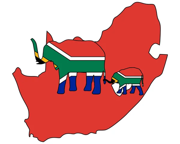 Éléphants d'Afrique du Sud — Photo