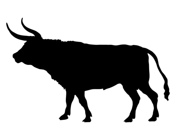 Silhouette of a bull — Stock Photo, Image