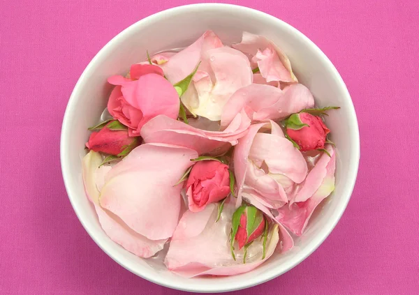 Rosenknospen und Blütenblätter auf rosa Hintergrund — Stockfoto