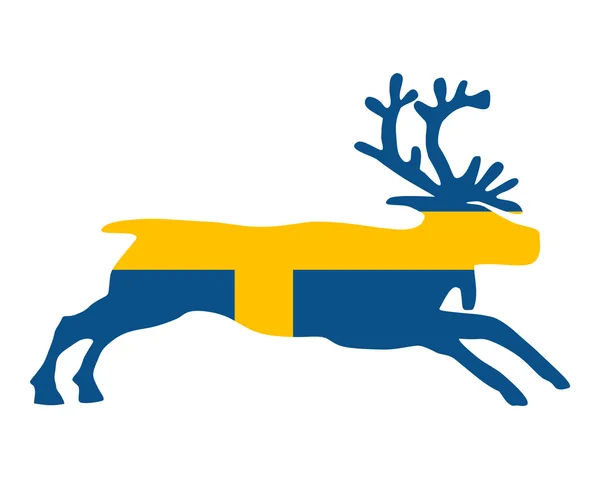 瑞典驯鹿 — 图库照片
