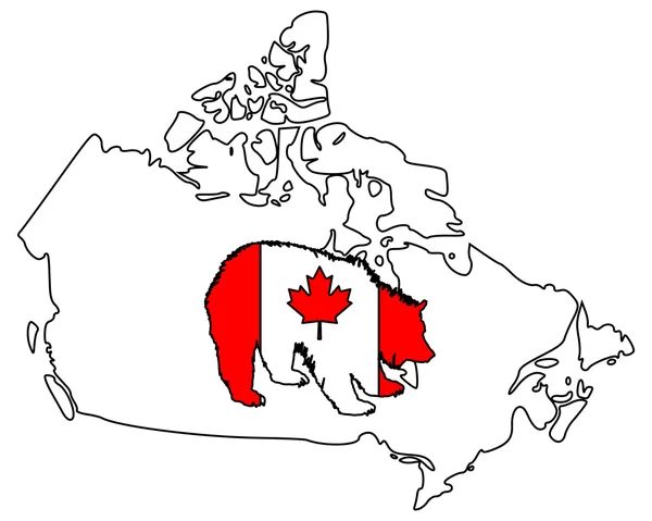 Kanadensiska grizzly — Stockfoto