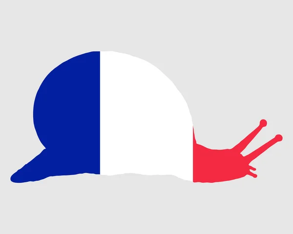 프랑스 민 달팽이 — 스톡 사진
