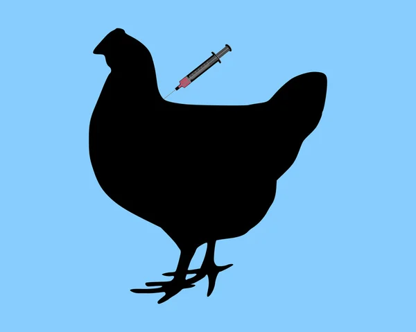 Hen gets an immunization — Stock Photo, Image
