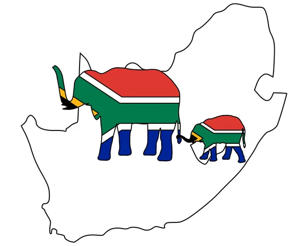 Elefantes sudafricanos — Foto de Stock