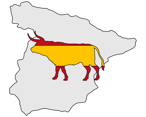 Spaanse stier — Stockfoto
