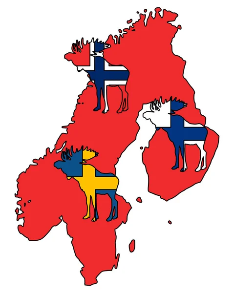 Skandinaviska älg — Stockfoto