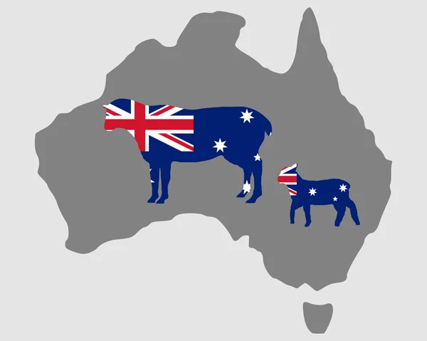 Австралійський овець — стокове фото