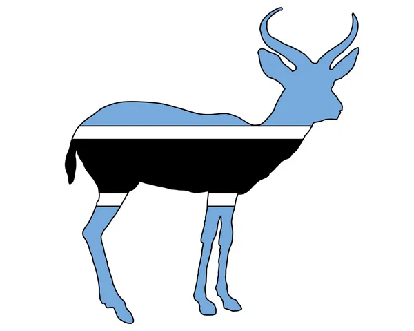 Antilope do Botsuana — Fotografia de Stock