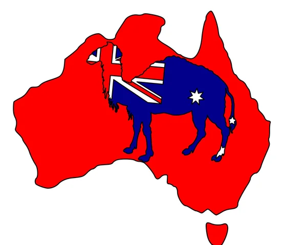 Австралійський верблюд — стокове фото