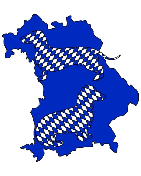 Баварский барсук — стоковое фото