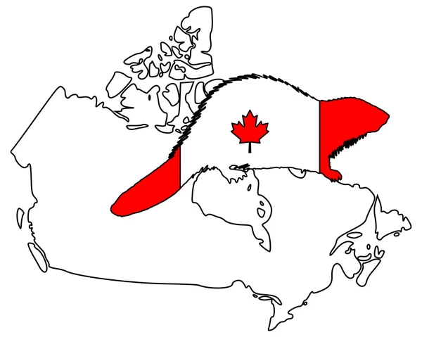Канадський бобра — стокове фото