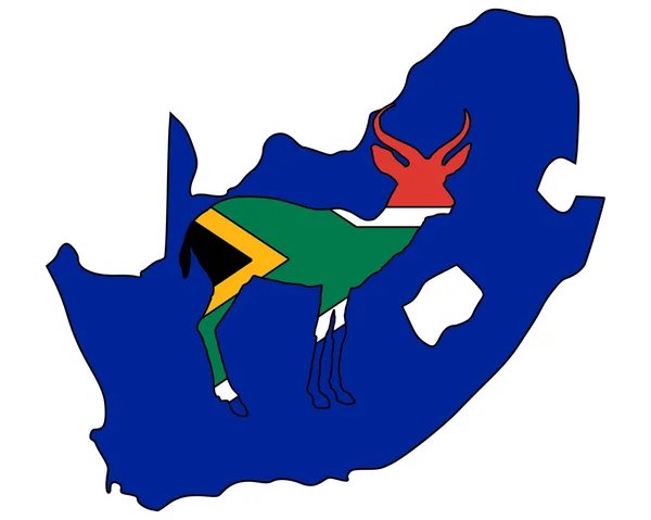 南非羚羊 — 图库照片