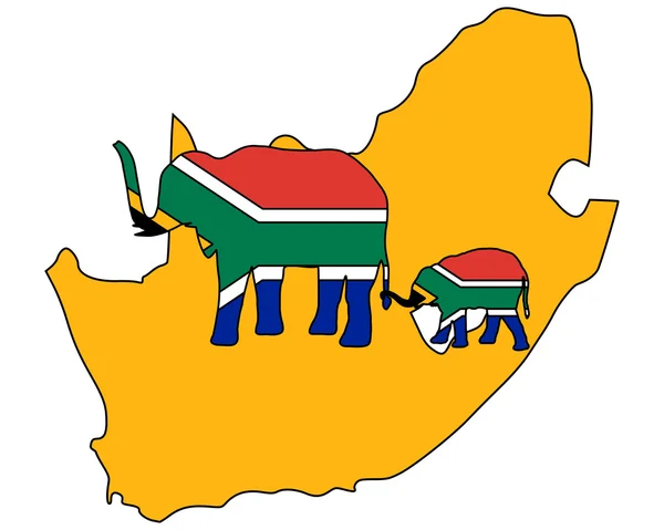 Νότιας Αφρικής οι ελέφαντες — Φωτογραφία Αρχείου