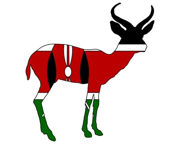 Kenya antilop — Stock Fotó