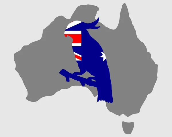 Australian cockatoo — Stock Photo, Image