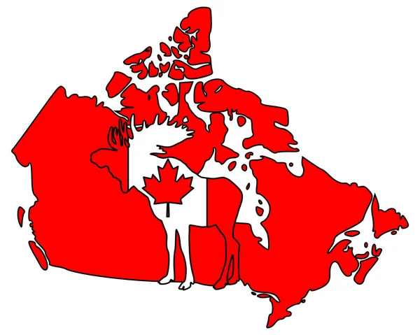 Alce canadiense — Foto de Stock
