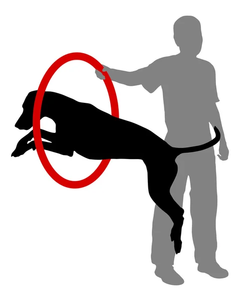 Treinamento de cães — Fotografia de Stock