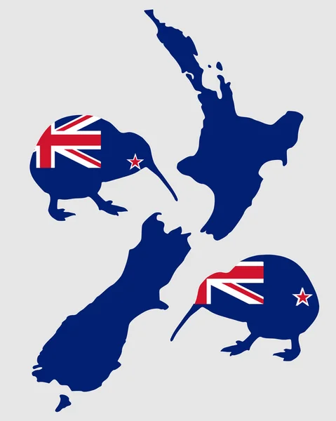 stock image New Zealands kiwi